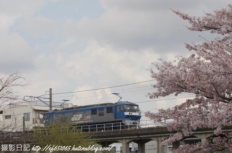 f:id:ef651065:20230330161152j:image