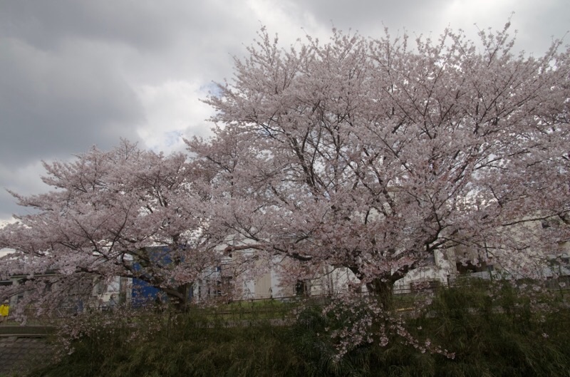 f:id:ef651065:20230330164111j:image