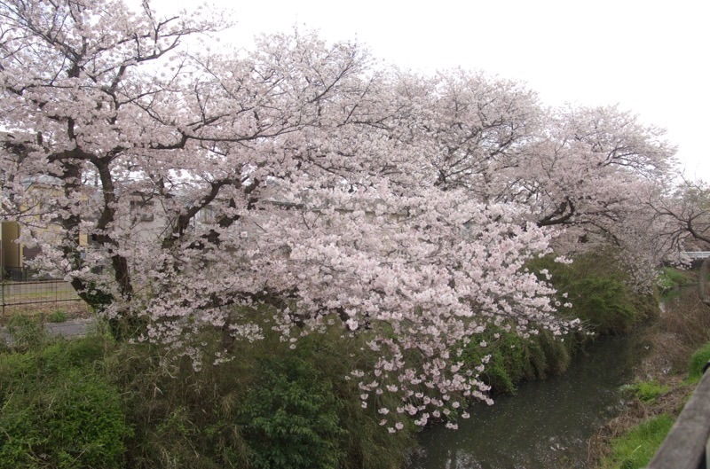 f:id:ef651065:20230330164114j:image