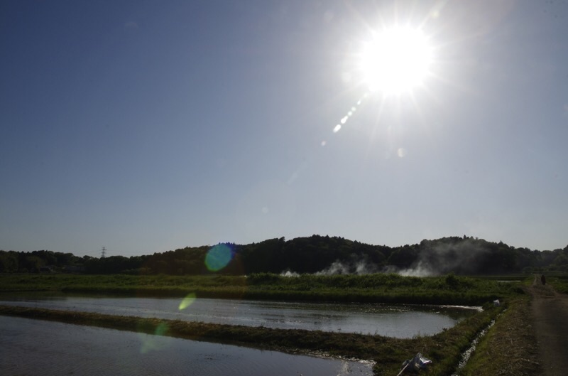 f:id:ef651065:20230427183601j:image