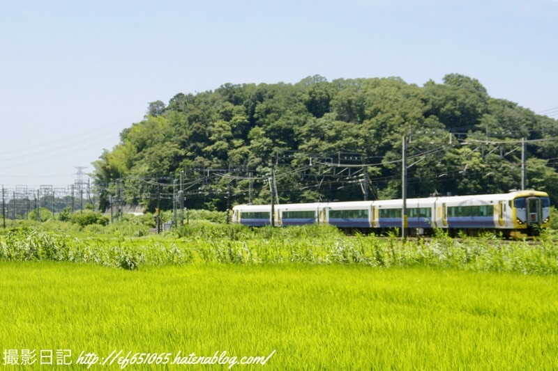 f:id:ef651065:20230716133236j:image