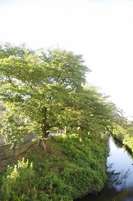 f:id:ef651065:20230809092408j:image