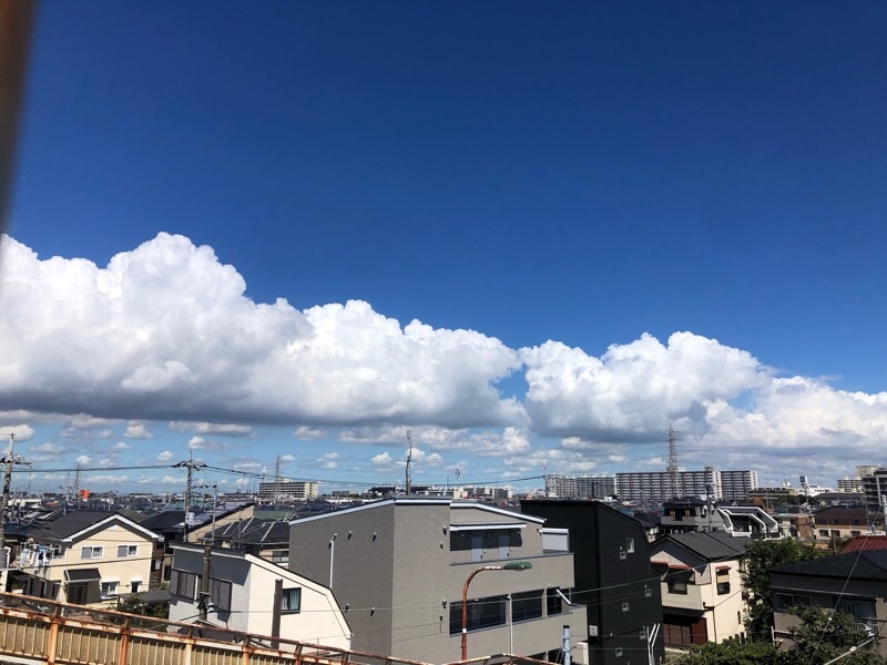 f:id:ef651065:20230826051703j:image