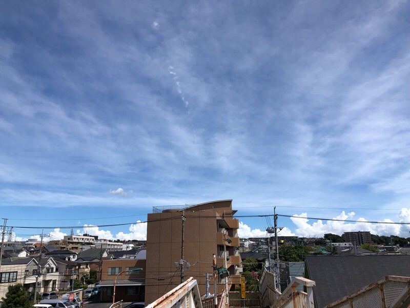 f:id:ef651065:20230831091015j:image