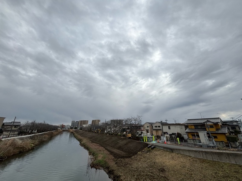 f:id:ef651065:20240209133106j:image