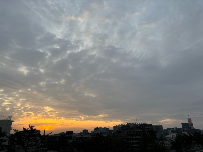f:id:ef651065:20240421061426j:image