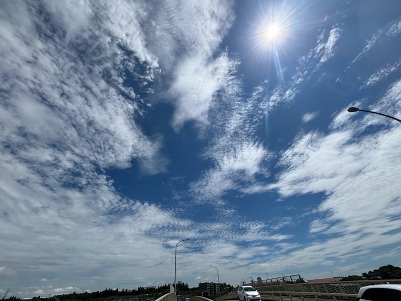 f:id:ef651065:20240719134450j:image