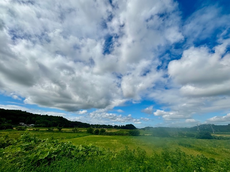 f:id:ef651065:20240905054430j:image