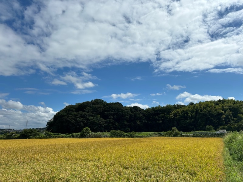f:id:ef651065:20240905160713j:image