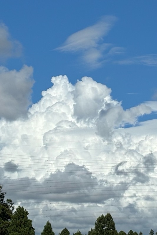 f:id:ef651065:20240909183010j:image