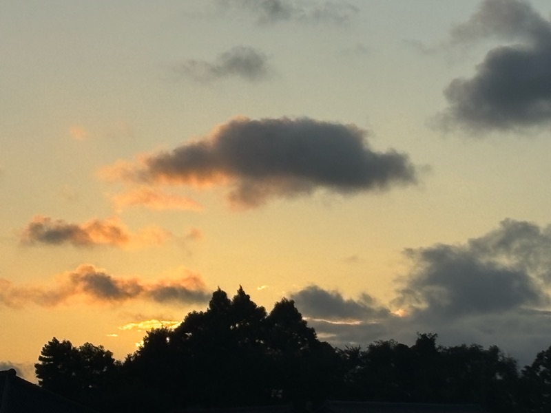 f:id:ef651065:20240923191013j:image