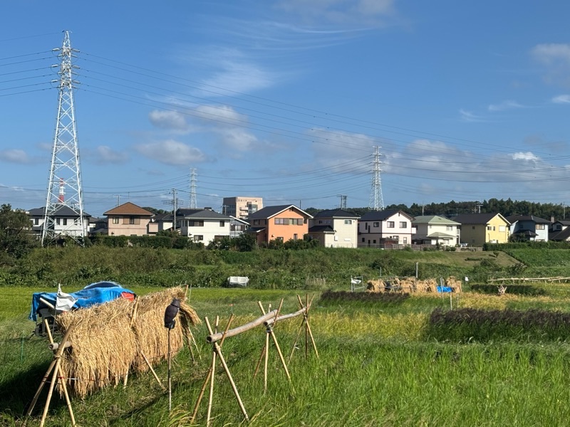 f:id:ef651065:20240924161656j:image