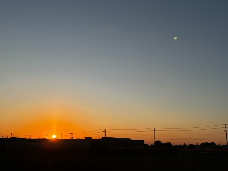 f:id:ef651065:20241108175131j:image