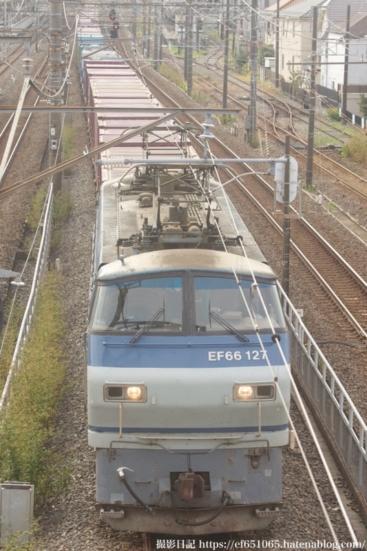 f:id:ef651065:20241116170807j:image
