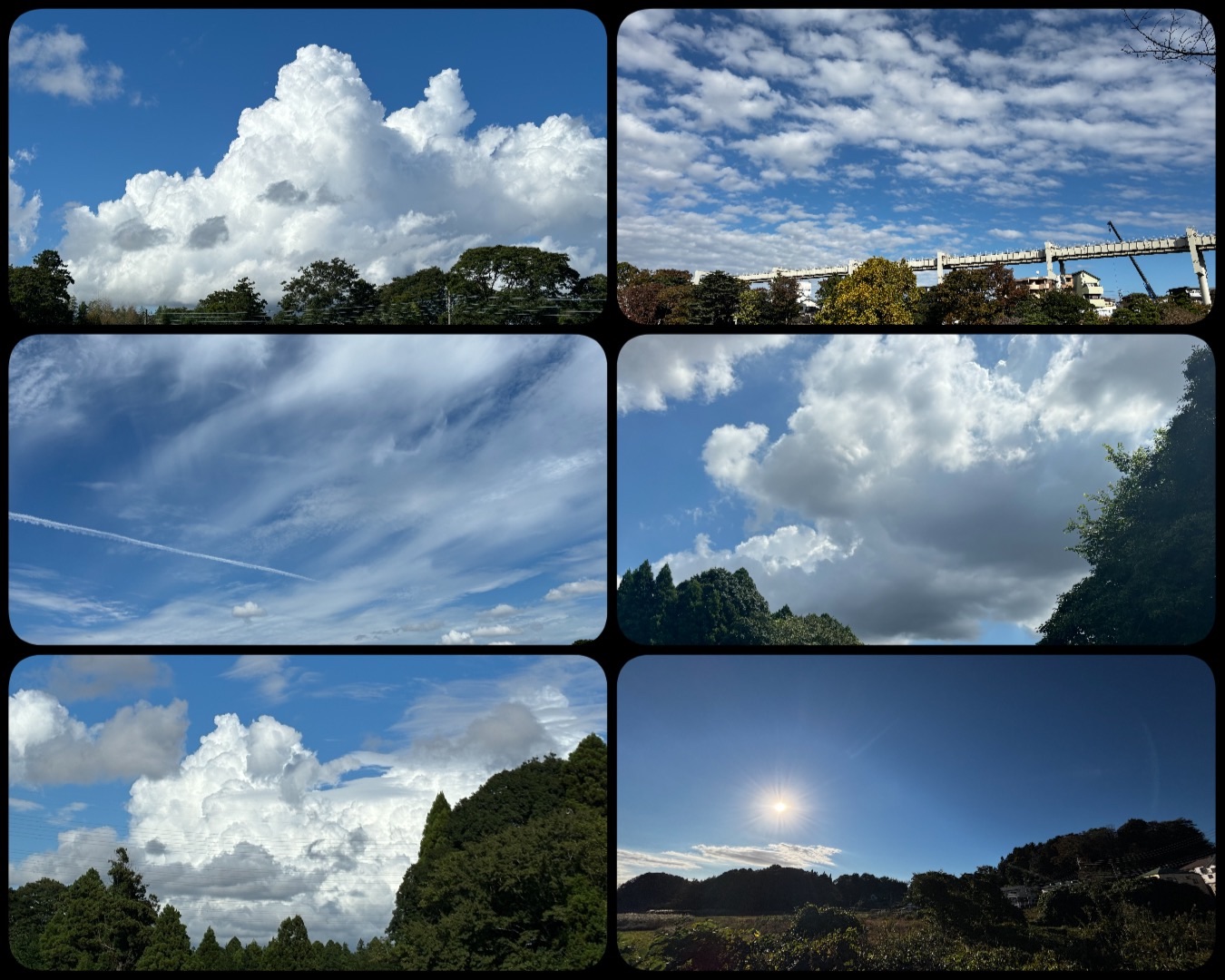 f:id:ef651065:20241224012441j:image
