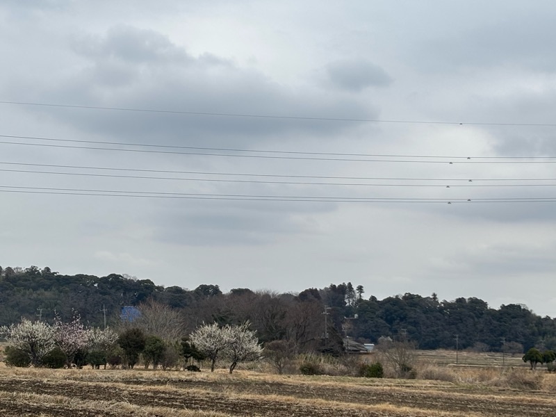 f:id:ef651065:20250308221904j:image