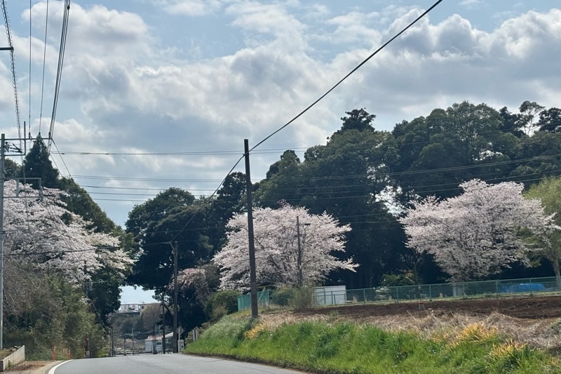 f:id:ef651065:20250407133014j:image