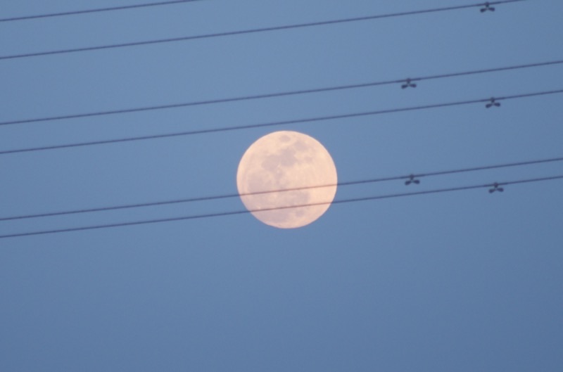 f:id:ef651065:20250412205407j:image