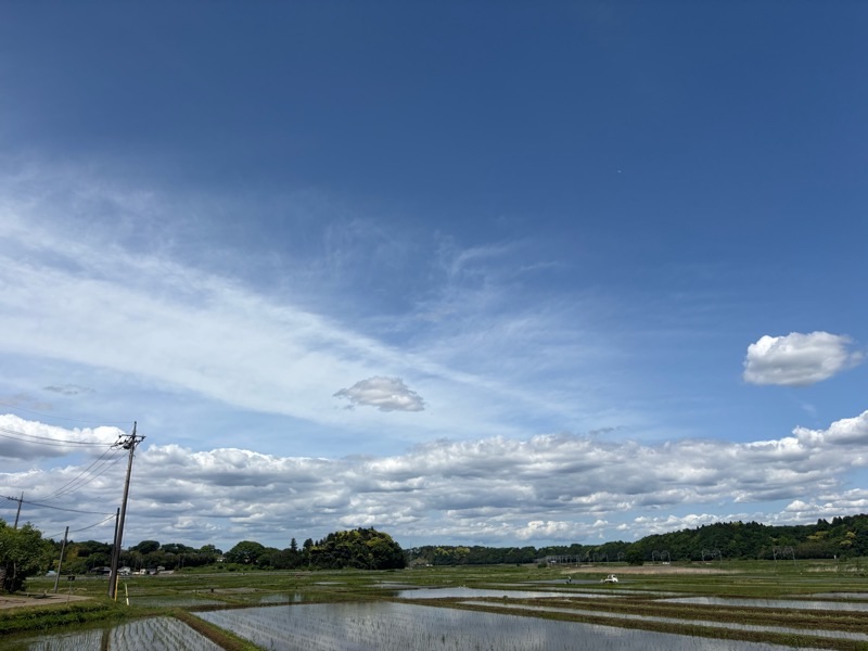 f:id:ef651065:20250507161703j:image f:id:ef651065:20250507161703j:image