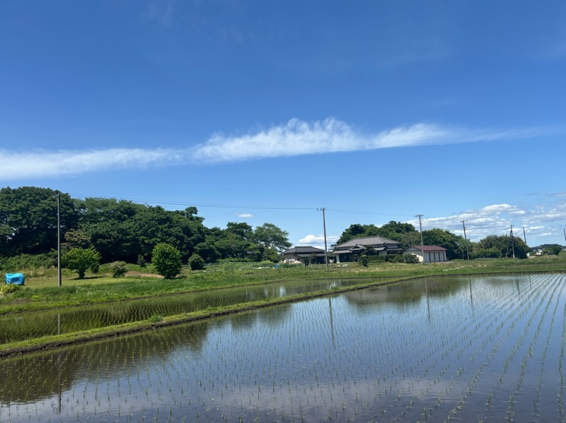f:id:ef651065:20250507161724j:image f:id:ef651065:20250507161724j:image