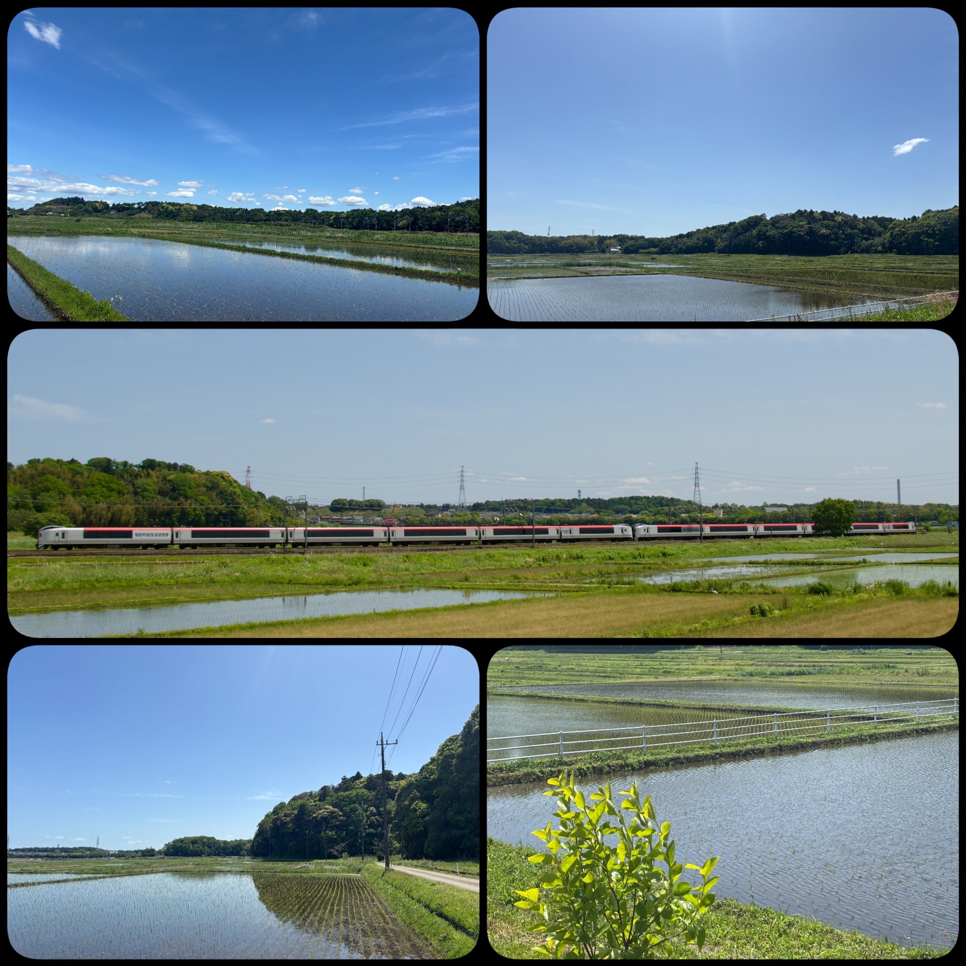 f:id:ef651065:20250507161728j:image f:id:ef651065:20250507161728j:image