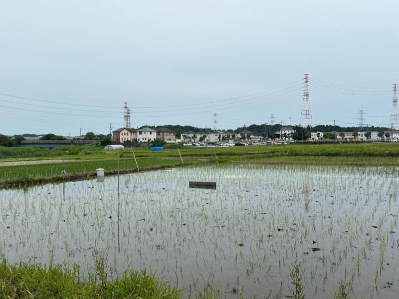 f:id:ef651065:20250529162441j:image