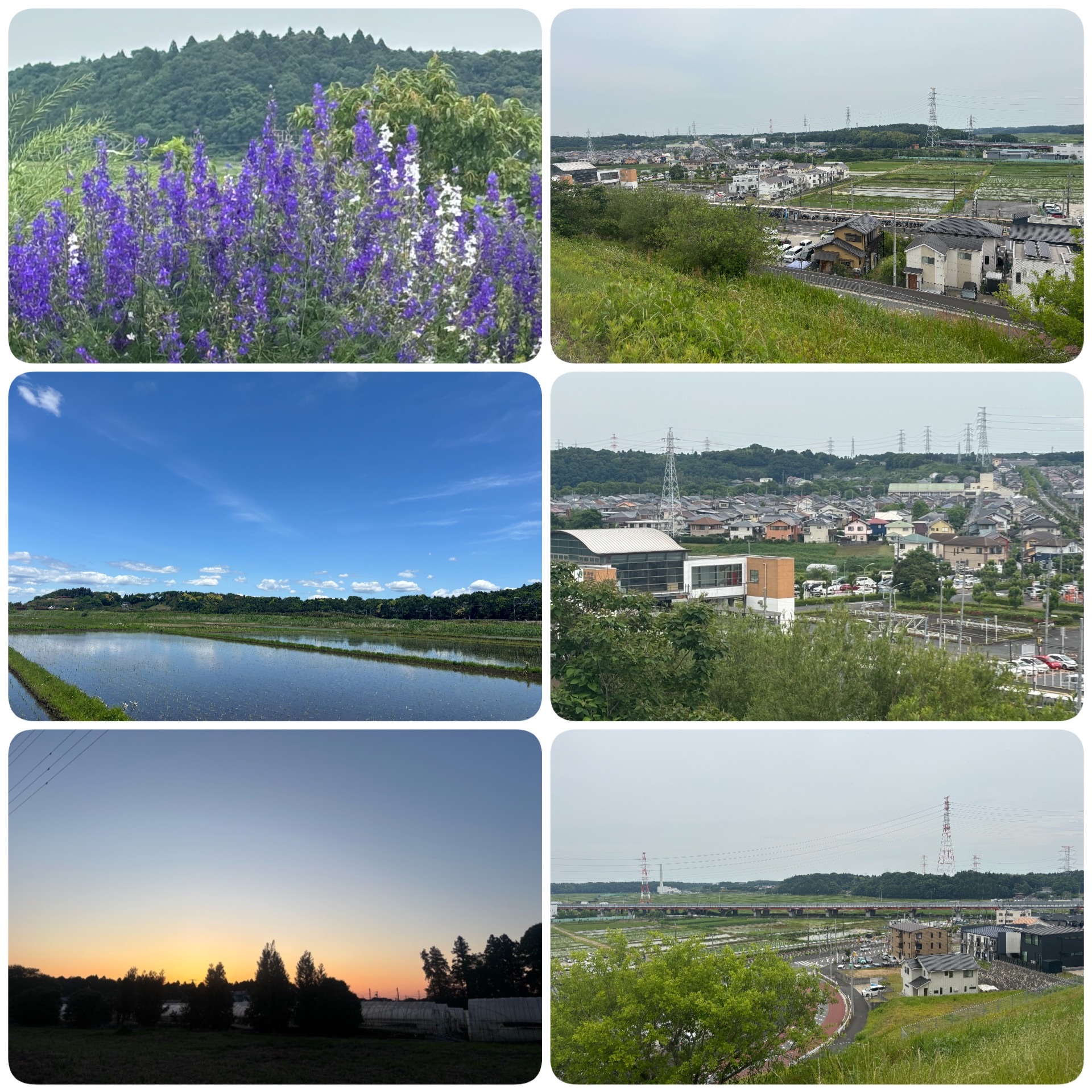 f:id:ef651065:20250616130919j:image