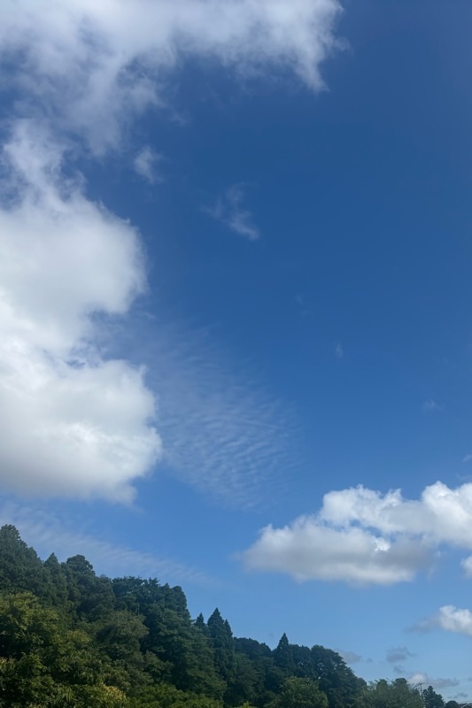 f:id:ef651065:20250627210330j:image