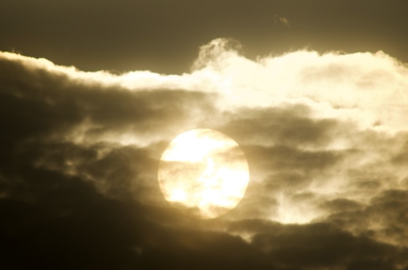 f:id:ef651065:20250705190715j:image