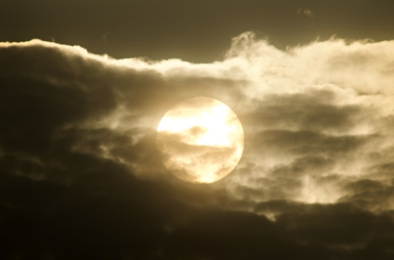 f:id:ef651065:20250705190718j:image