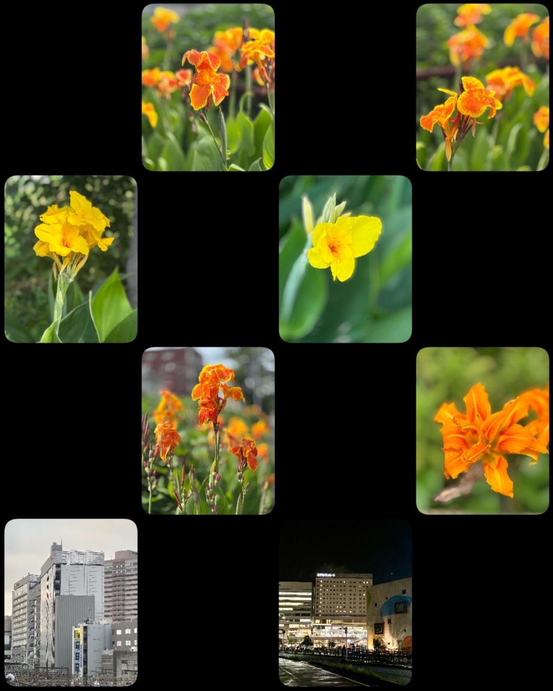 f:id:ef651065:20250705222643j:image