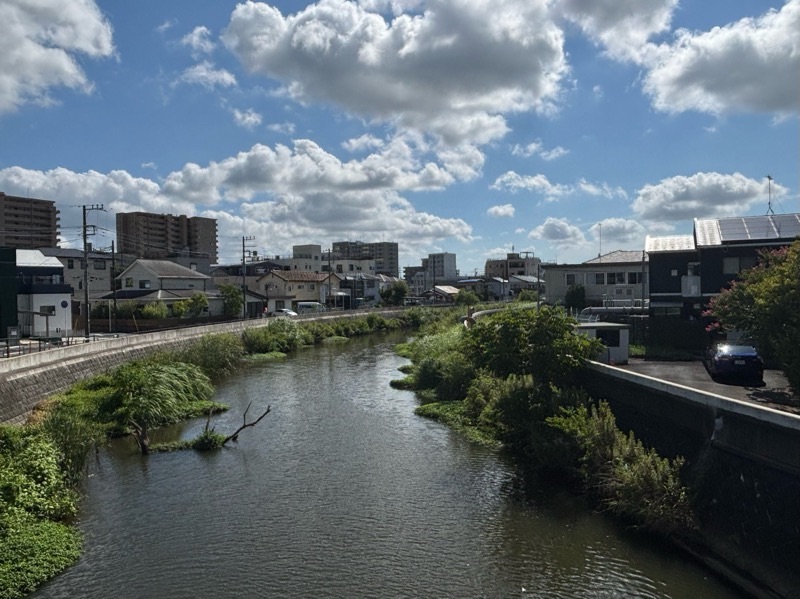 f:id:ef651065:20250803222614j:image