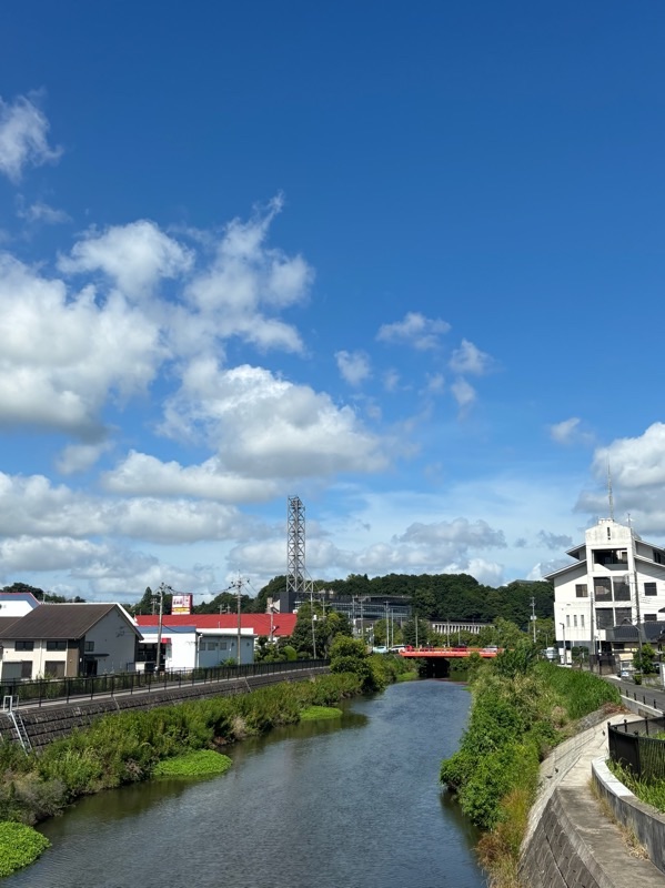 f:id:ef651065:20250803222618j:image