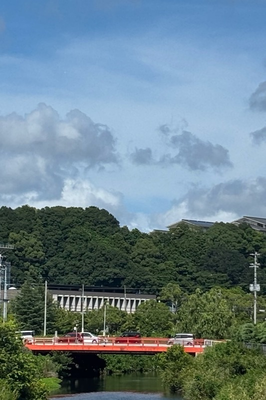 f:id:ef651065:20250803222621j:image