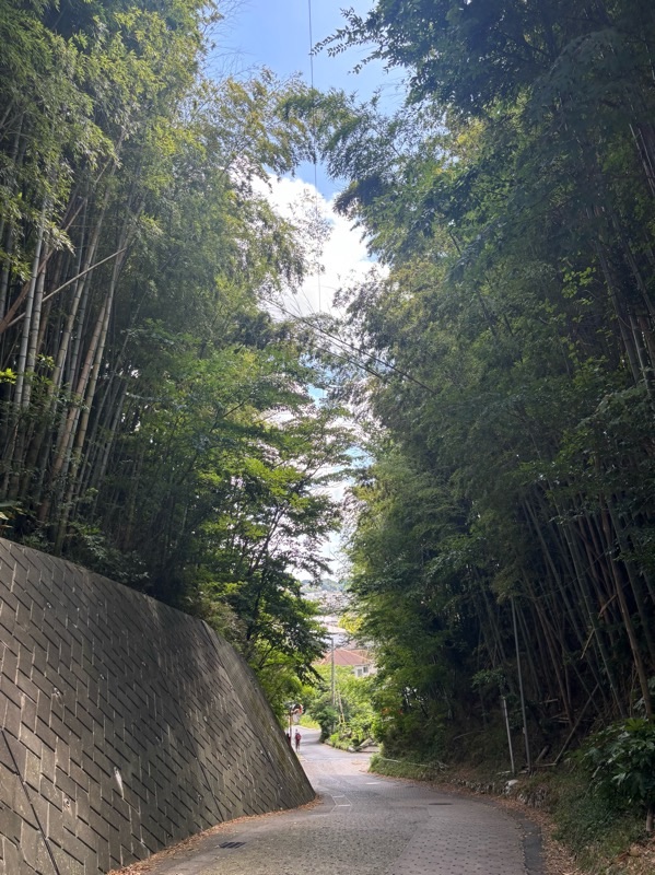 f:id:ef651065:20250803224114j:image