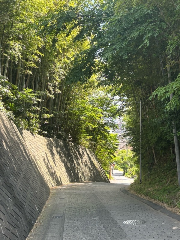 f:id:ef651065:20250803224118j:image