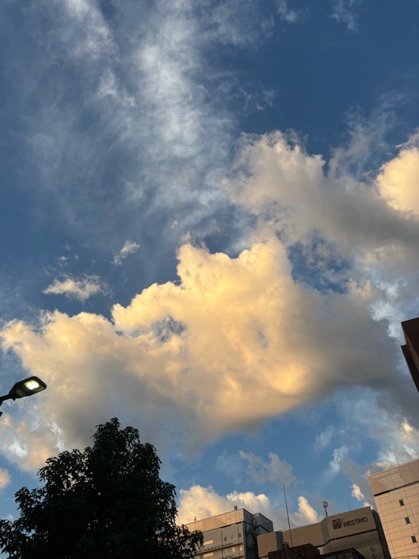 f:id:ef651065:20250808053509j:image