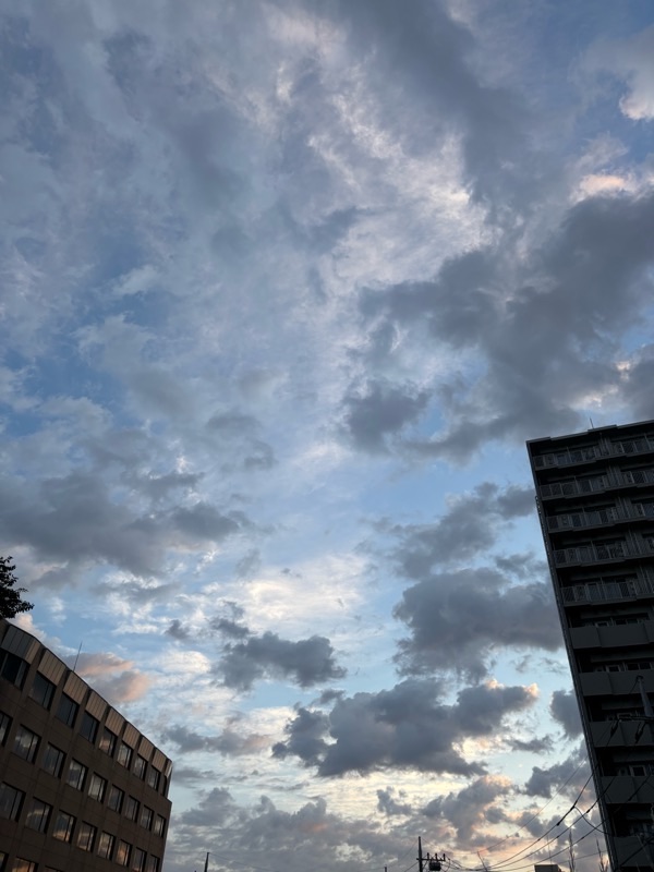 f:id:ef651065:20250808053519j:image