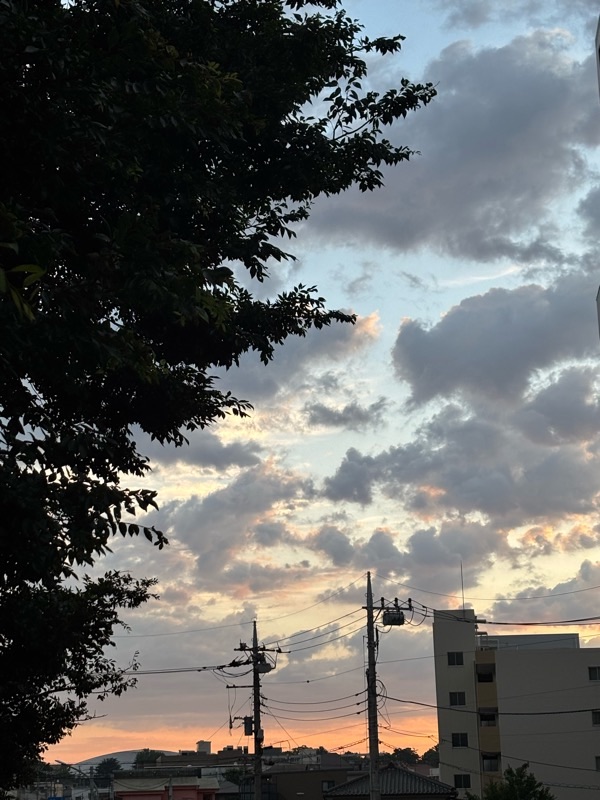 f:id:ef651065:20250808053526j:image