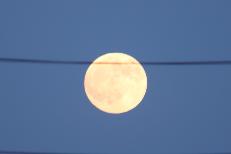 f:id:ef651065:20250910022641j:image