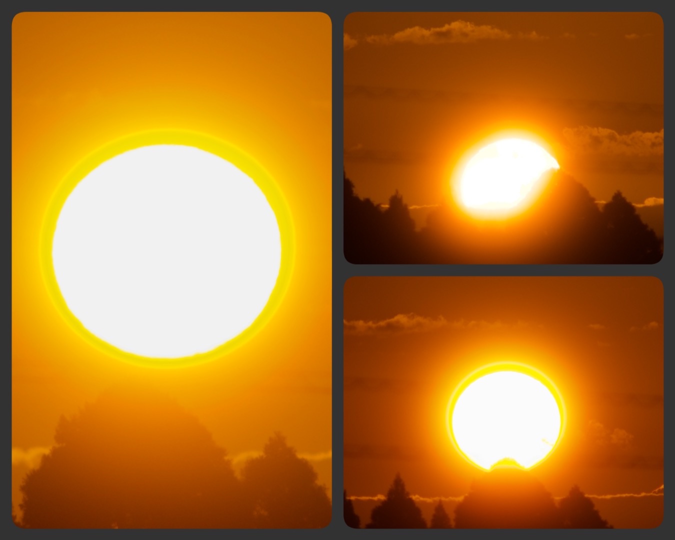 f:id:ef651065:20250929074550j:image