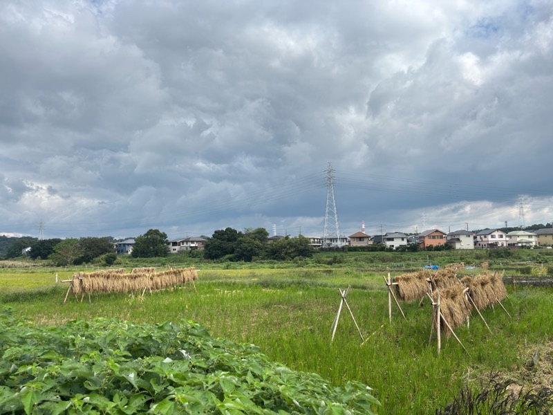 f:id:ef651065:20251006135707j:image