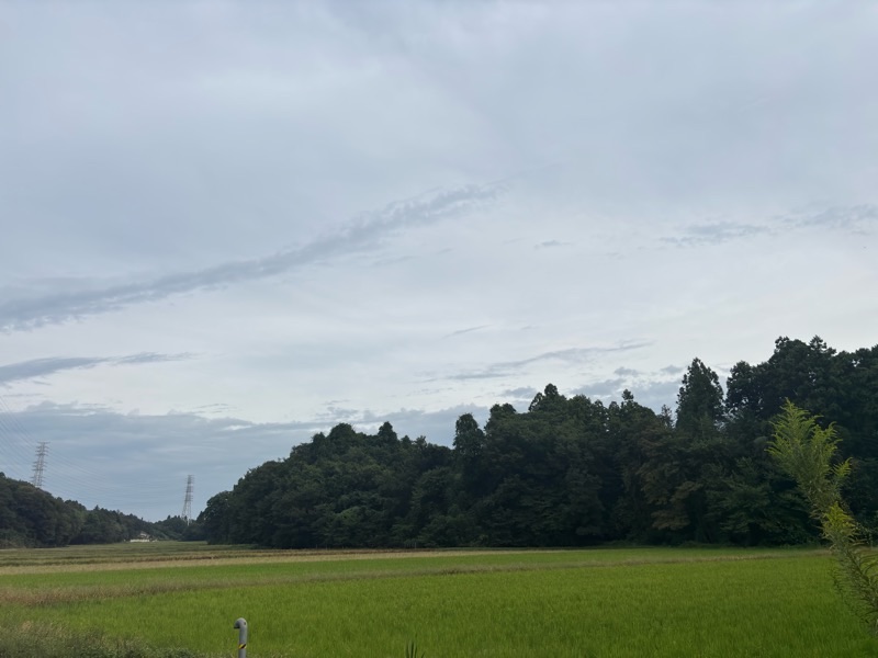 f:id:ef651065:20251008215452j:image