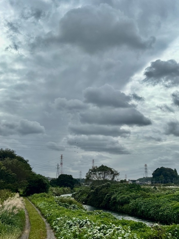 f:id:ef651065:20251009203403j:image