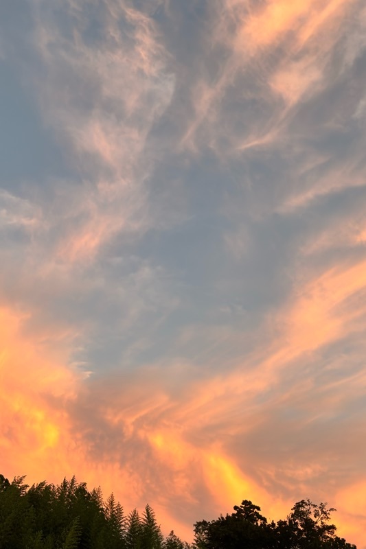 f:id:ef651065:20251009203415j:image