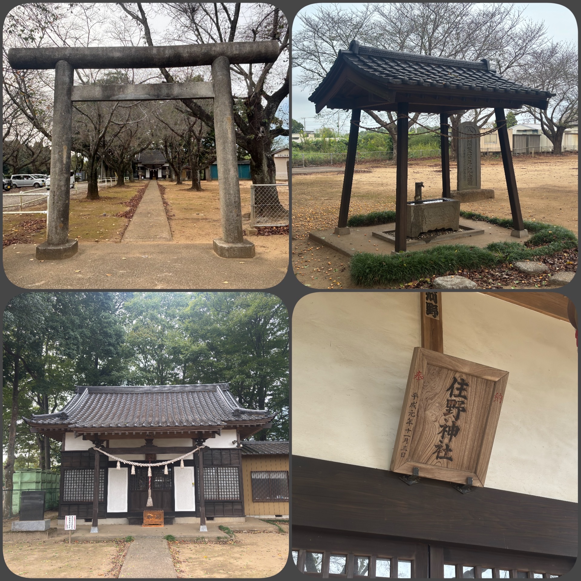 f:id:ef651065:20251010175418j:image