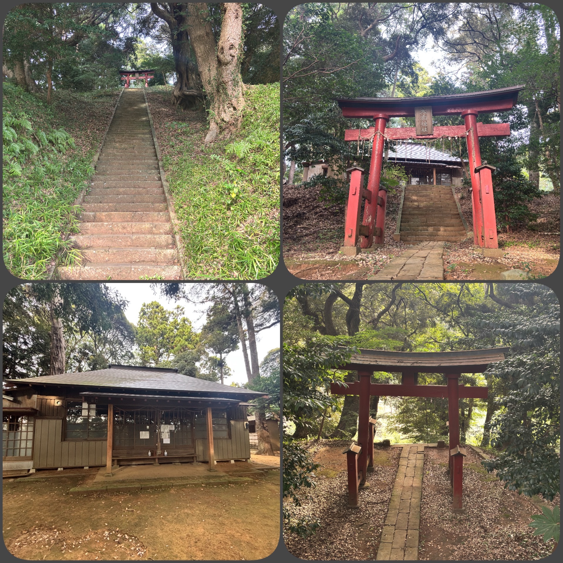 f:id:ef651065:20251010175423j:image