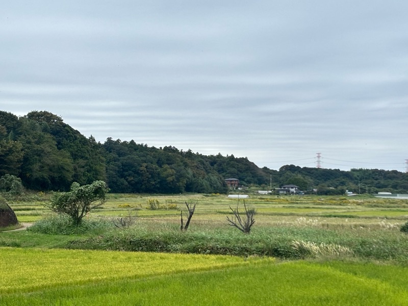f:id:ef651065:20251021170113j:image