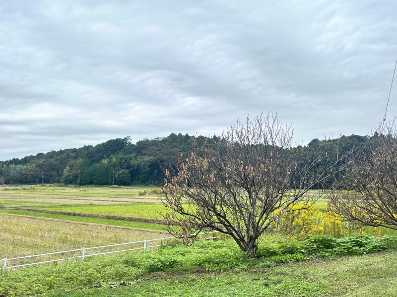 f:id:ef651065:20251021170133j:image