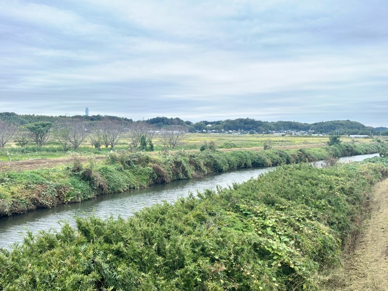 f:id:ef651065:20251021170223j:image